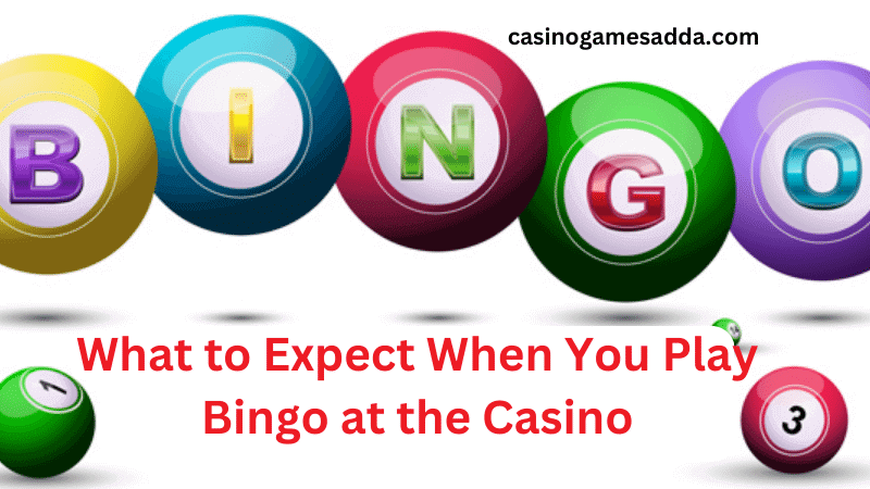 What to Expect When You Play Bingo at the Casino